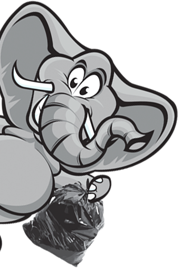 fondo ELEFANTE BOLSA2 fondo ELEFANTE BOLSA2
